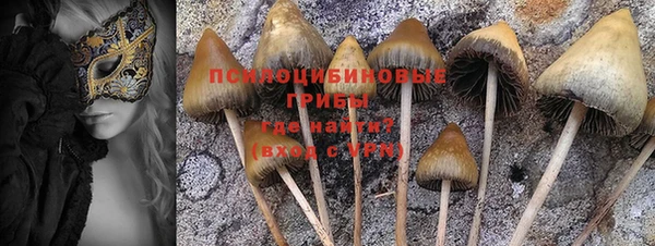 apvp Майский