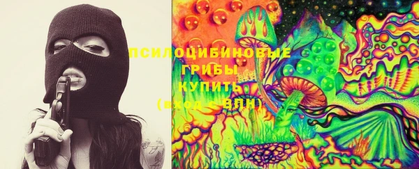 герыч Магас