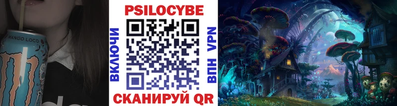 Галлюциногенные грибы Psilocybe  где купить   Шимановск 